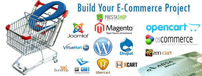 ecommerce development