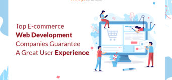 Top E-commerce Web Development Companies Guarantee A Great User Experience