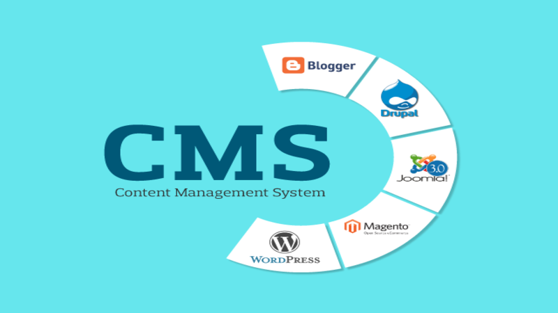 The Most Popular CMSs for E-Commerce, SEO, and the Bloggers