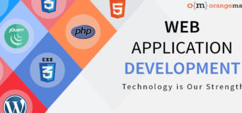 Web Application Development Facts