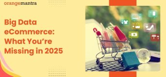 Big Data eCommerce: What You’re Missing in 2025