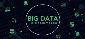 E-commerce Leveraging Big Data