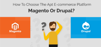 Magento-Or-Drupal-How-To-Choose-The-Apt-E-commerce-Platform-2