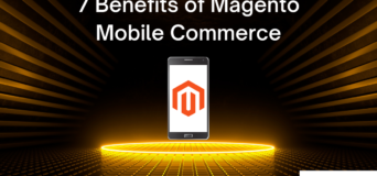 Mobile Commerce