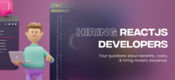 hire reactjs developer