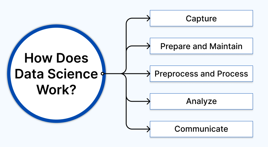 Data Science Work