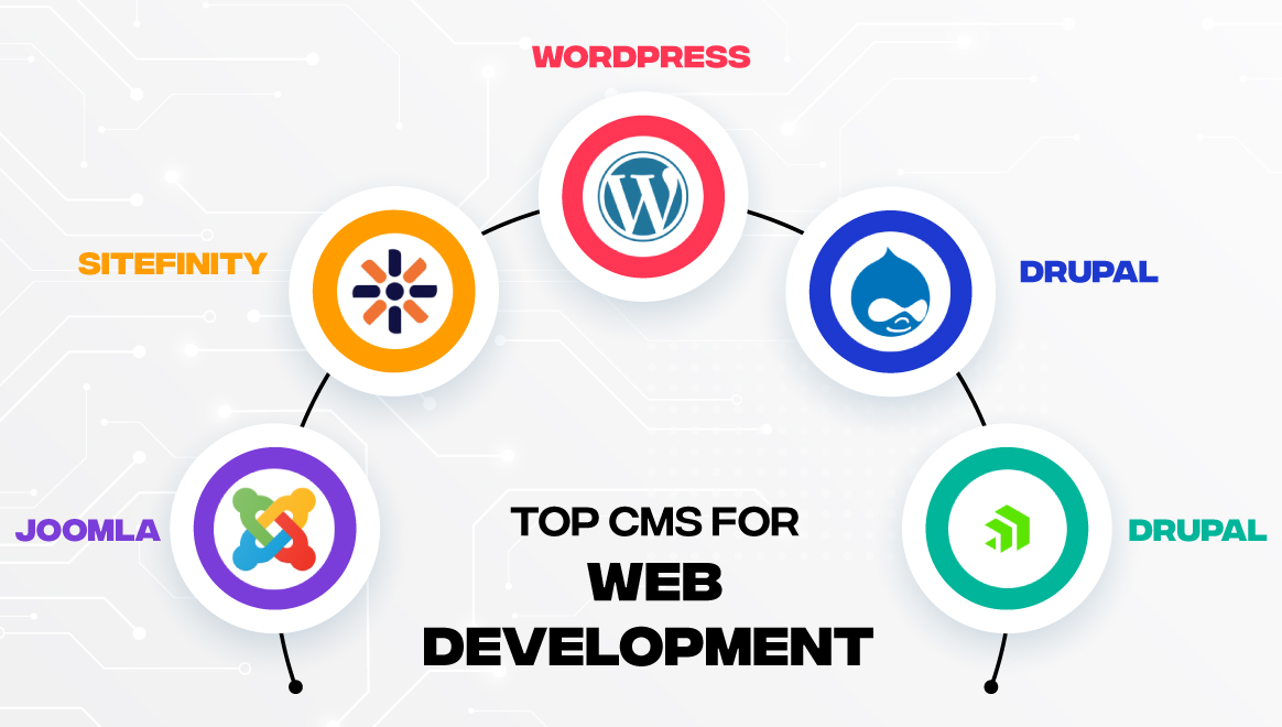 Top CMS for web development 
