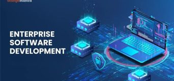 Enterprise software development