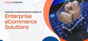 Enterprise eCommerce Solutions