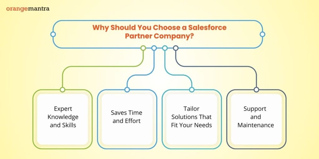 salesforce-partner-company