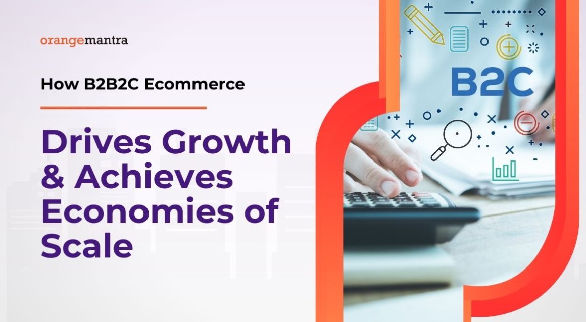 How B2B2C Ecommerce Drives Growth & Achieves Economies of Scale