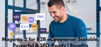 Why Should You Choose Magento 2 for B2B eCommerce Development