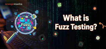 fuzz-testing