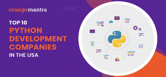 top-python-development-companies-in-usa