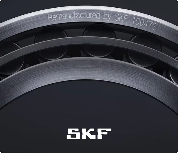 flagship skf digital
