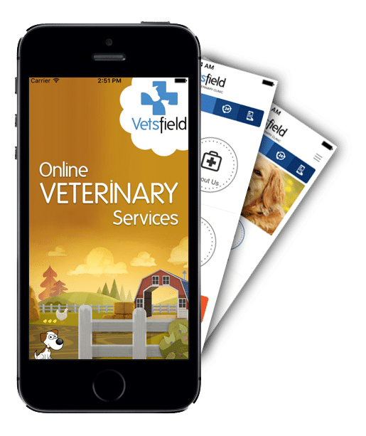 iphone application development
