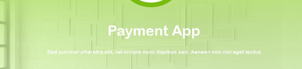 payment application