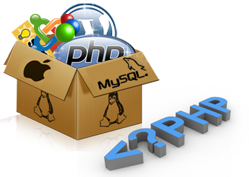 Website Design Development