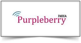 Purpleberry Purpleberry