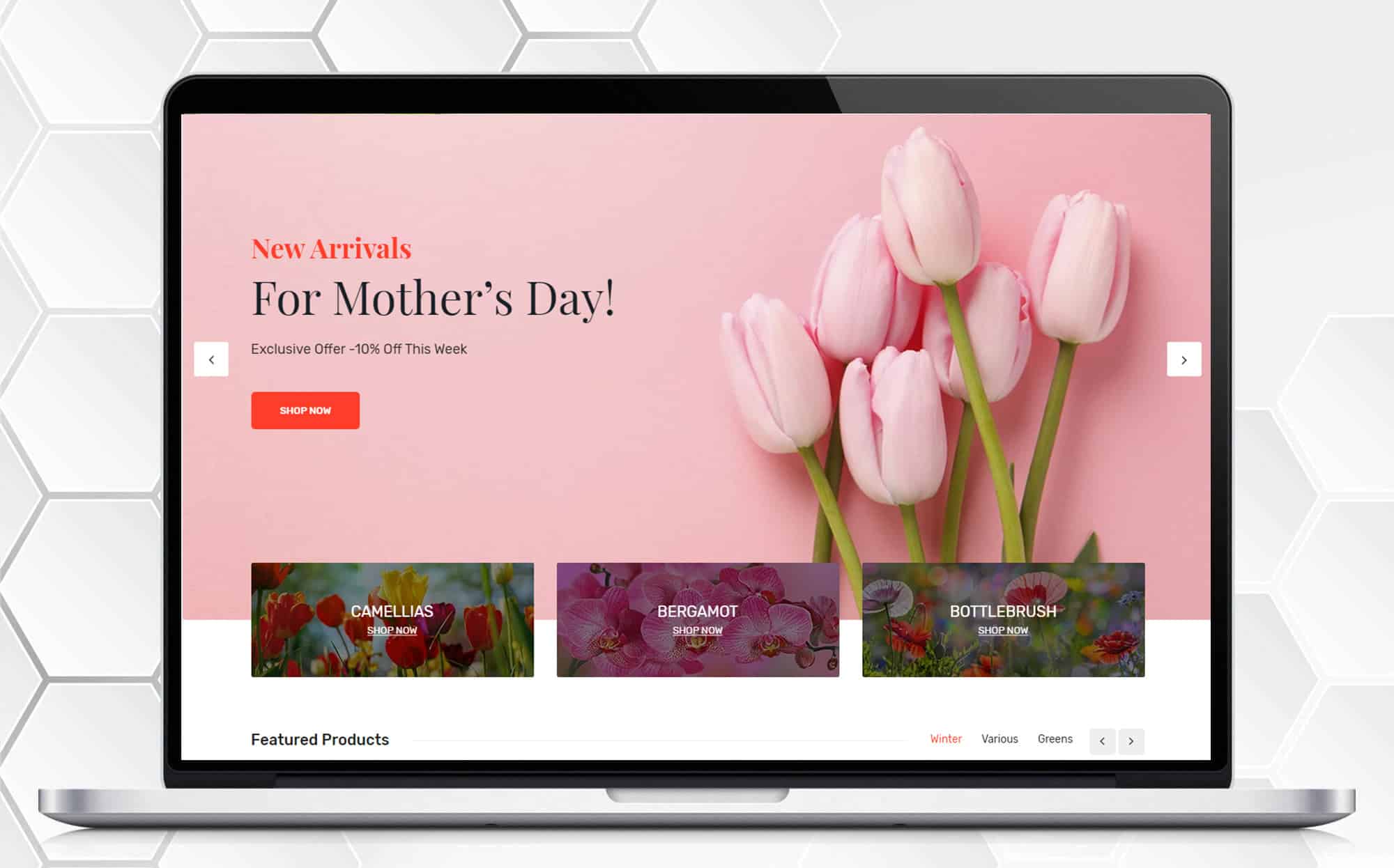 Ecommerce Website for a FNP Domain