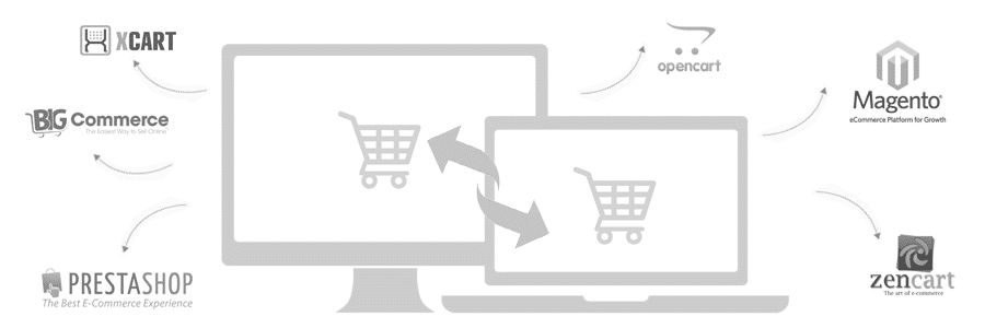 magento store migration service