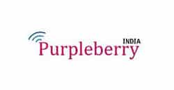 purpleberry