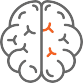Brain-icon
