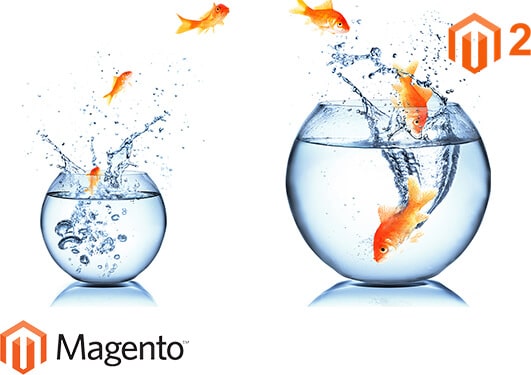 magento 2 upgrade services