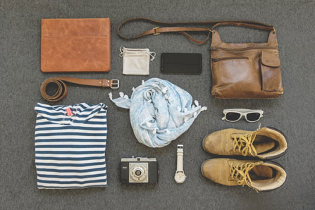Apparel and Fashion Segmentss