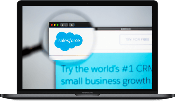 Saalesforce Portfolio