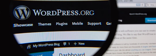 WordPress