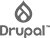 HIRE DRUPAL DEVELOPER