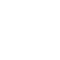 Logo Icon