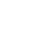 Logo Icon
