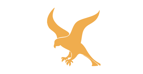 Falcon