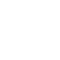 Logo Icon