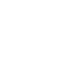 Logo Icon