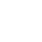 Logo Icon