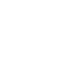 Logo Icon