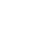 Logo Icon