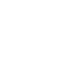 Logo Icon