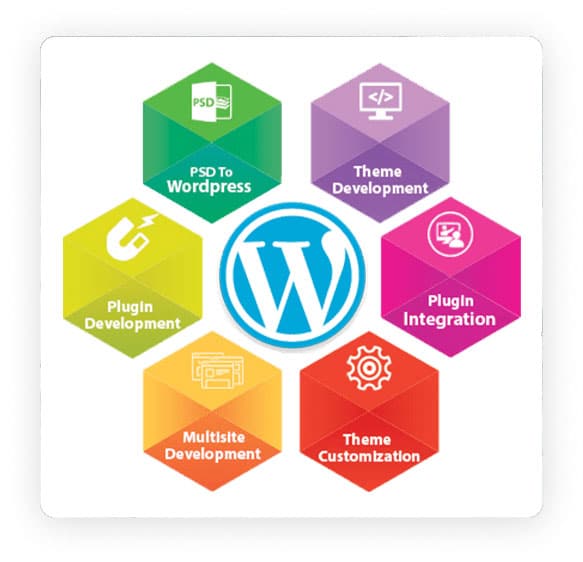 WordPress1