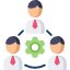 Management Services