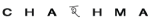 gehealthcare logo