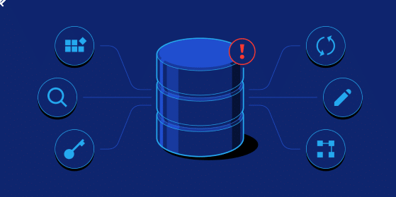 Database Management System