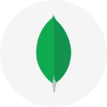 MongoDB 