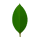  MongoDB 