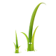 Twig