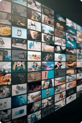  Media & Entertainment 