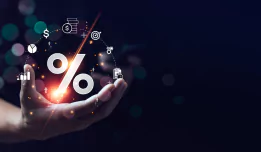 investment protfolio